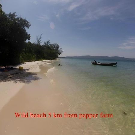 Pepper Farm Phu Quoc Bungalow Eksteriør billede