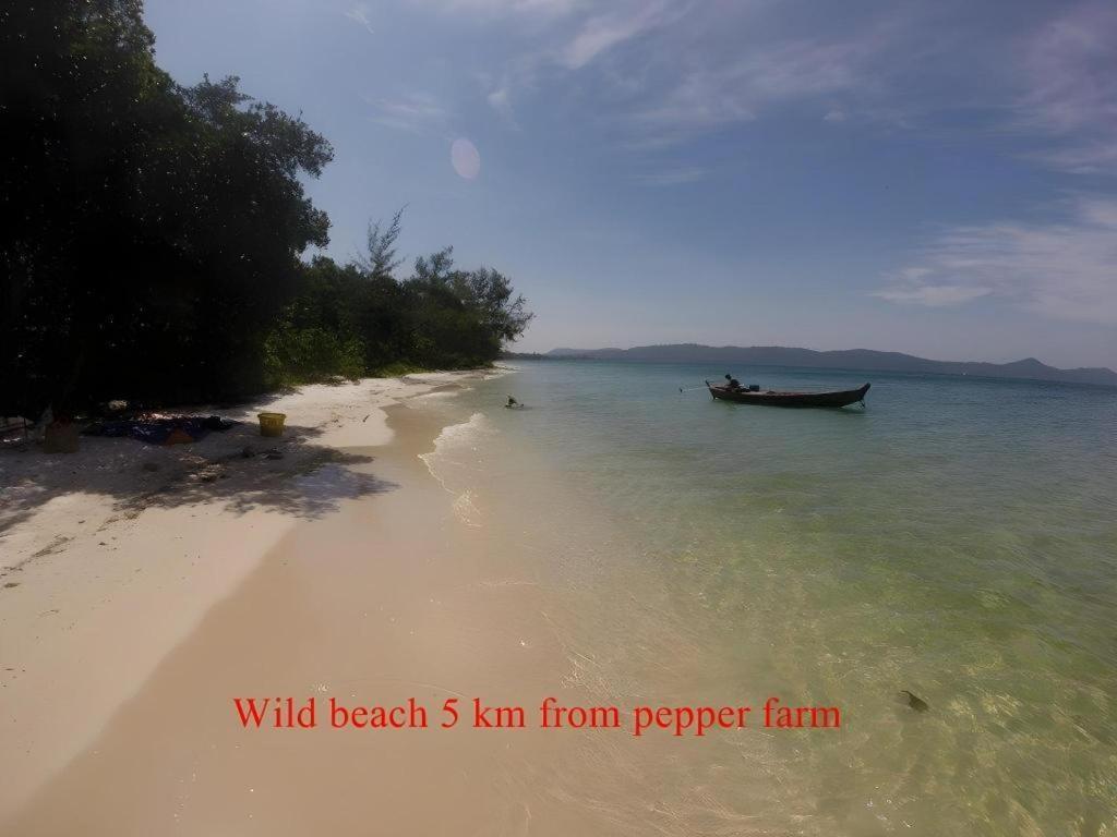 Pepper Farm Phu Quoc Bungalow Eksteriør billede