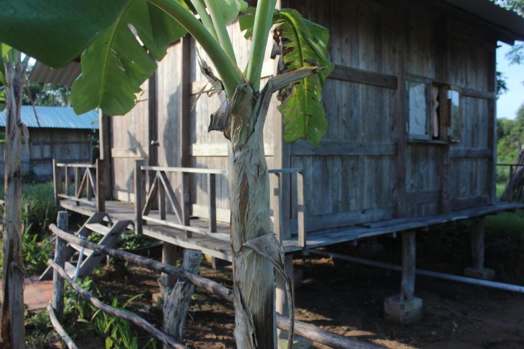 Pepper Farm Phu Quoc Bungalow Eksteriør billede