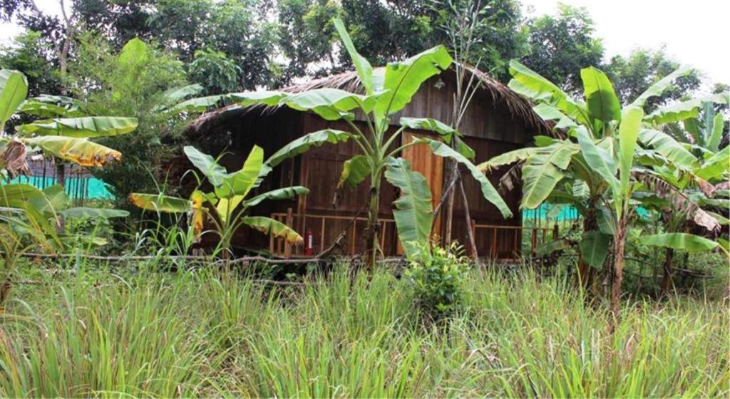 Pepper Farm Phu Quoc Bungalow Eksteriør billede